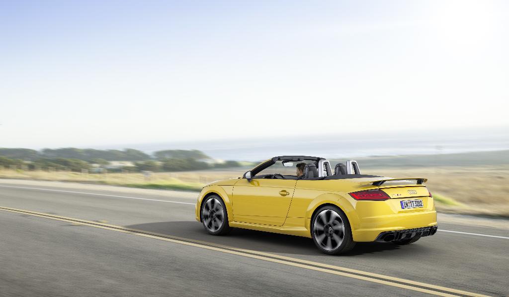 743905AUDITTRS8S0270.jpg