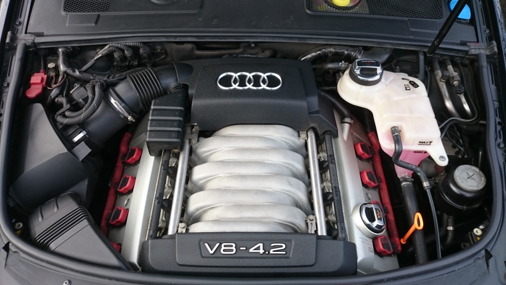 74475293V8.jpg