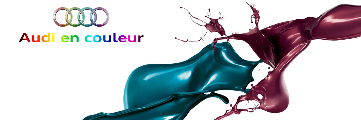 747095AudiencouleurV2.jpg