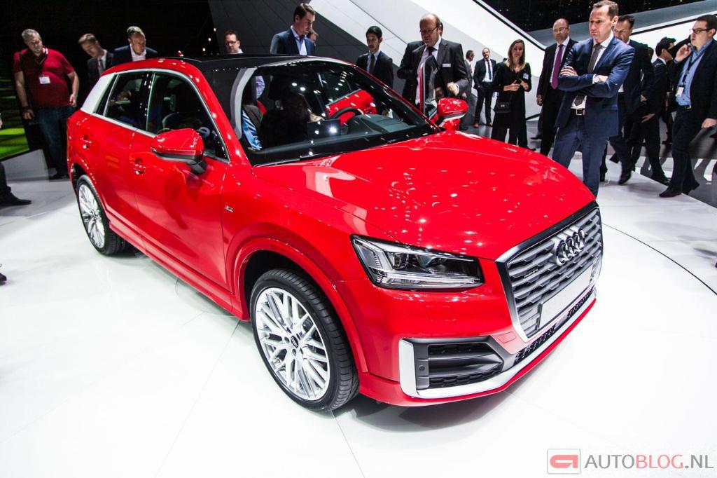749575AUDIQ20130.jpg