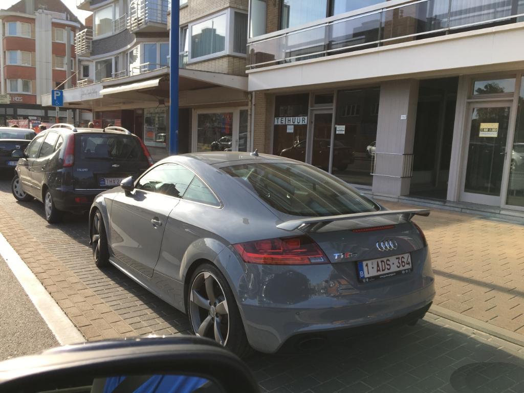 749993AUDITTRS2236.jpg