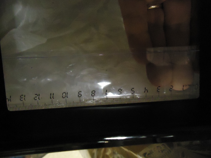 750297DSC04267.jpg