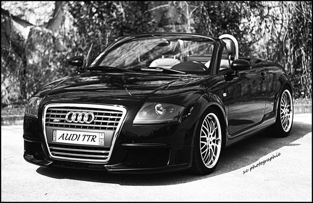 753063audittr.jpg
