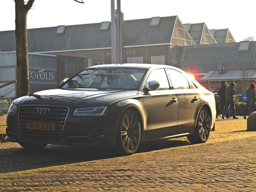 753215S8D41288.jpg