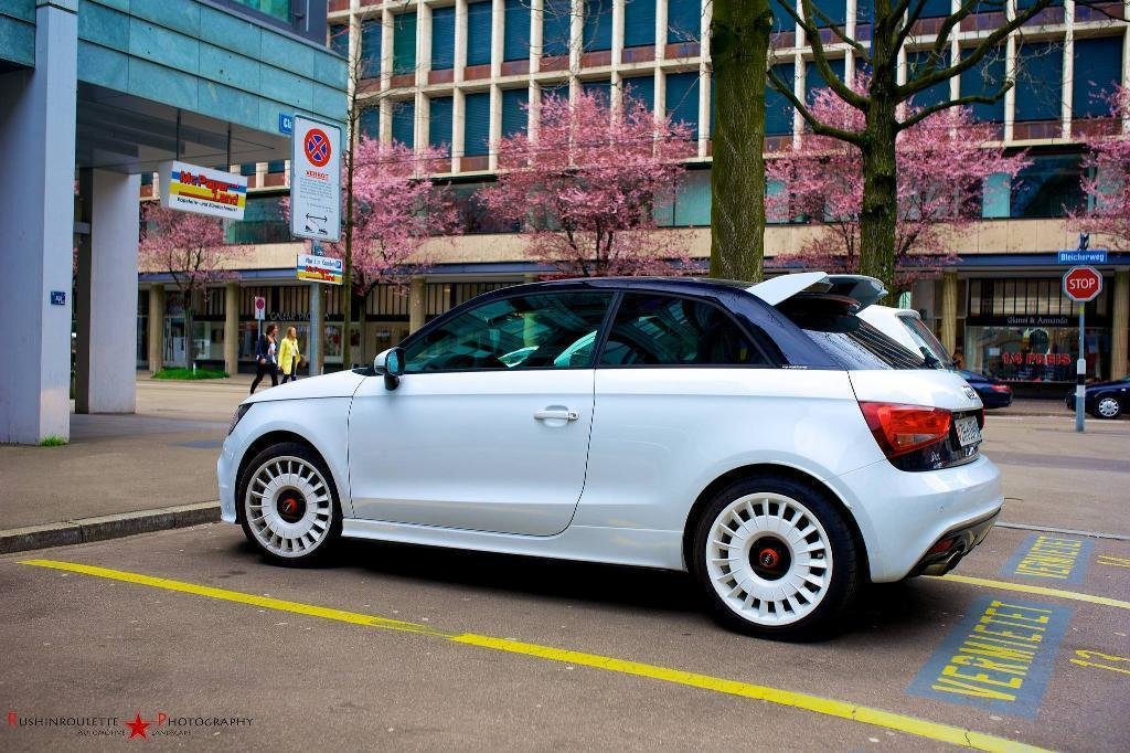 753490A1QUATTRO1018.jpg