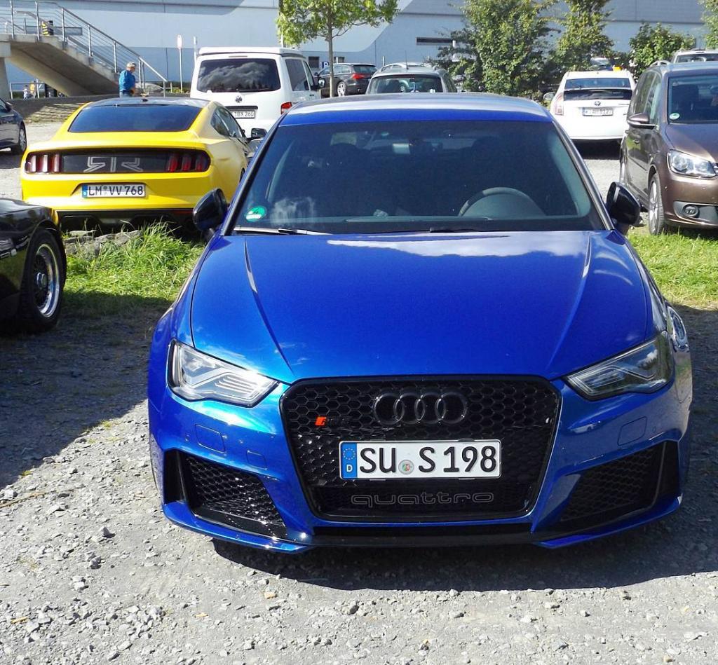 753842RS38V1657.jpg