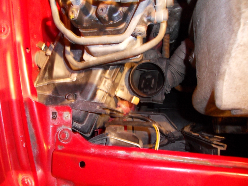 753925SDC12296.jpg