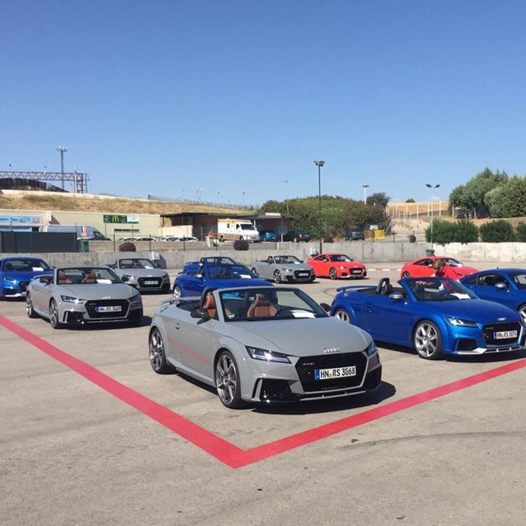 760359AUDITTRS8S0439.jpg