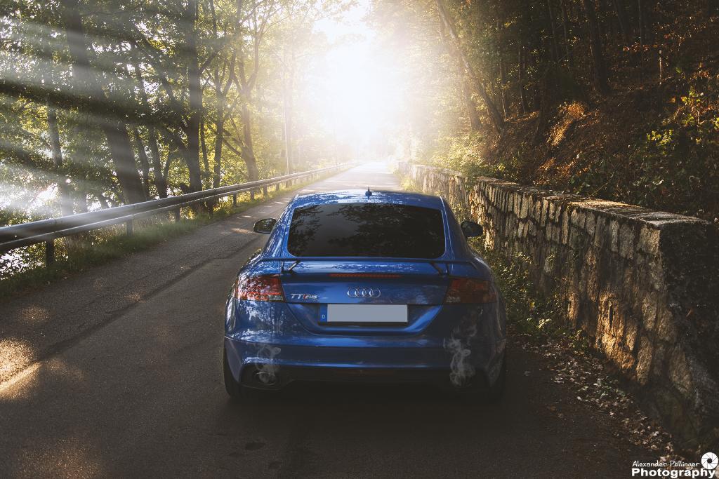 761835AUDITTRS1747.jpg