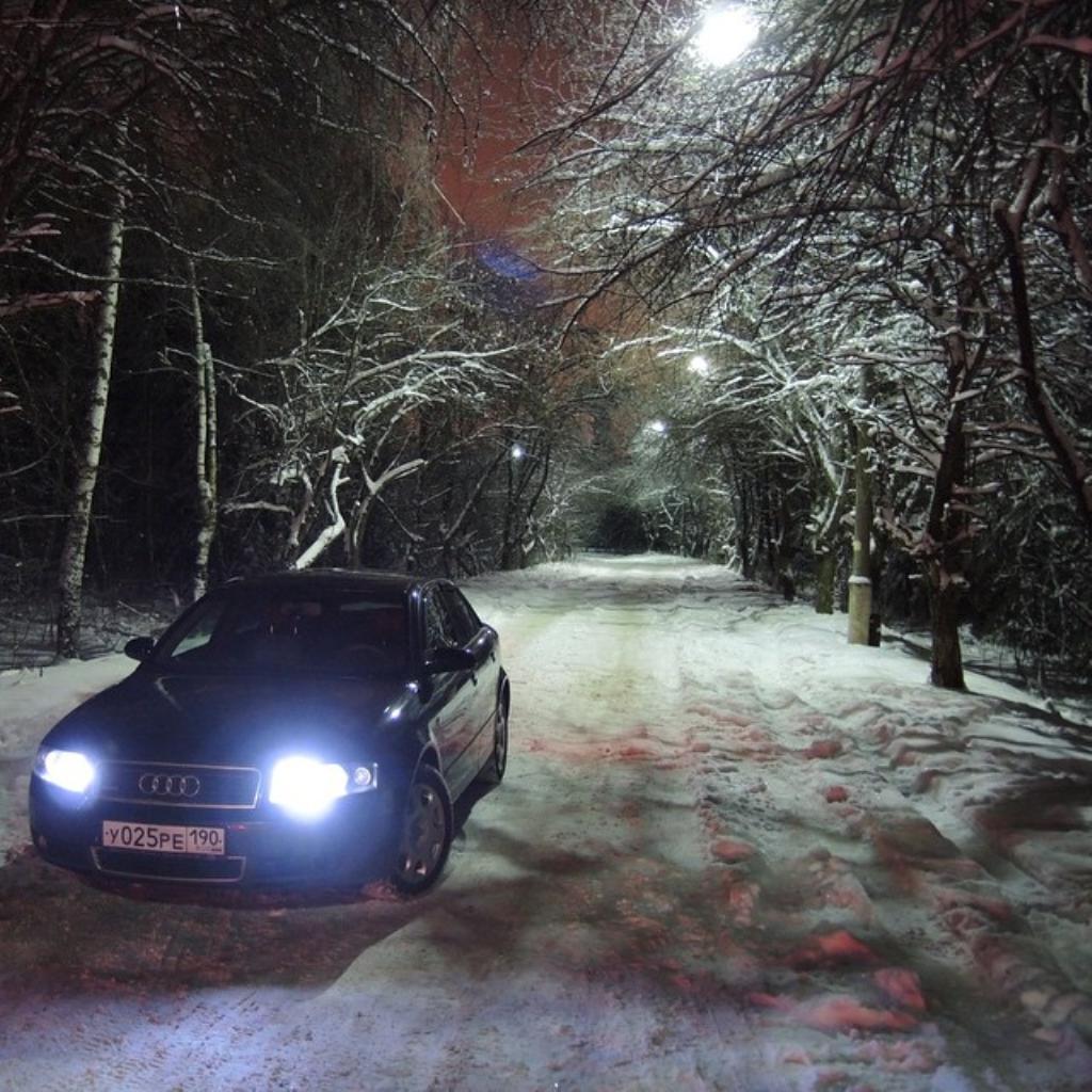 7620851208NEIGE.jpg