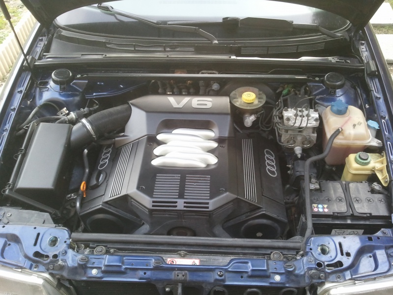 764117Photo5772.jpg