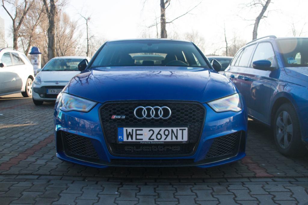 765147RS38V1906.jpg