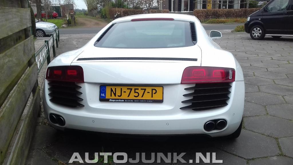 7663893184R8.jpg