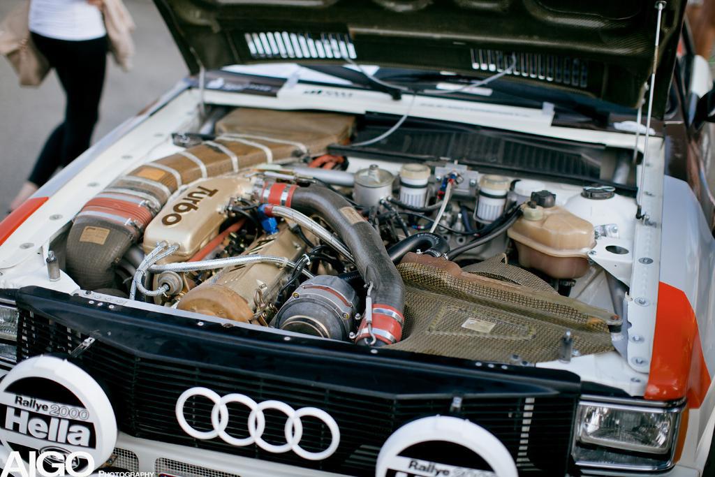 766889URQUATTRO1791.jpg