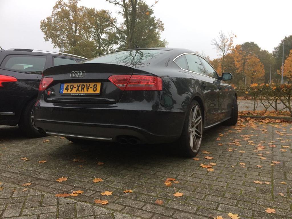 7678141060S5SPORTBACK.jpg