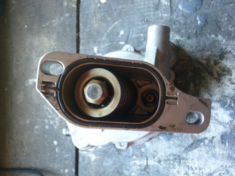 768314Photo6314.jpg