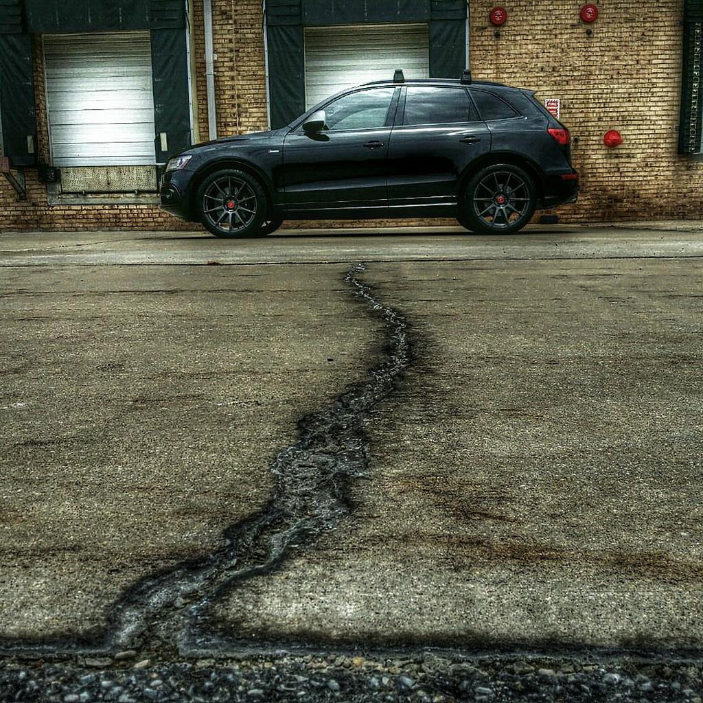 769054AUDISQ51267.jpg