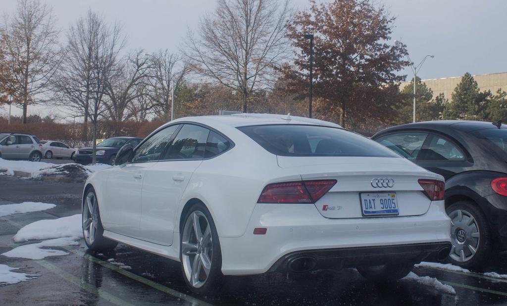 769684RS7337.jpg