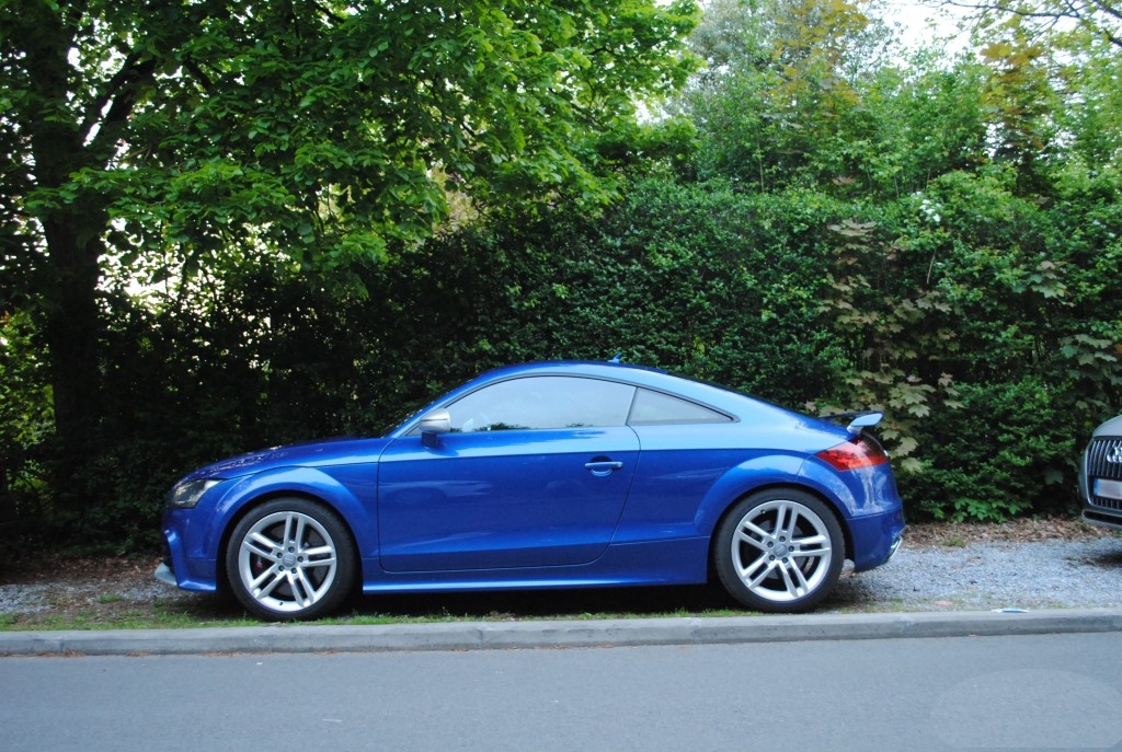 770267AUDITTRS1529.jpg