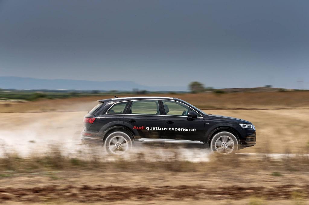 771210Q7MK2376.jpg