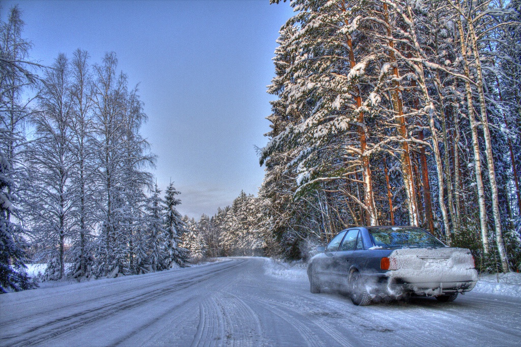 7712166770308755913464ec9db.jpg