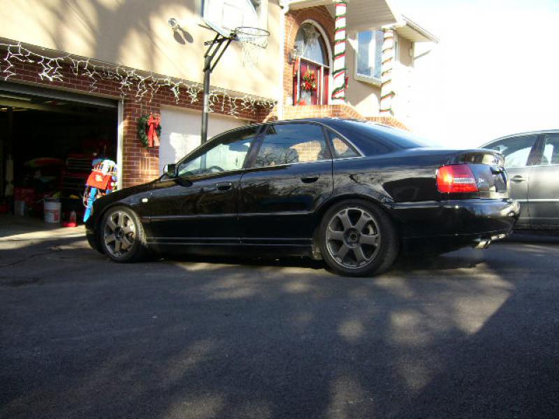 773068s4008.jpg