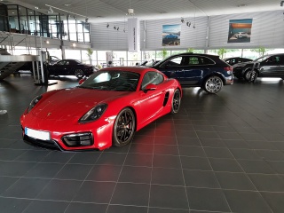 773424Cayman2.jpg