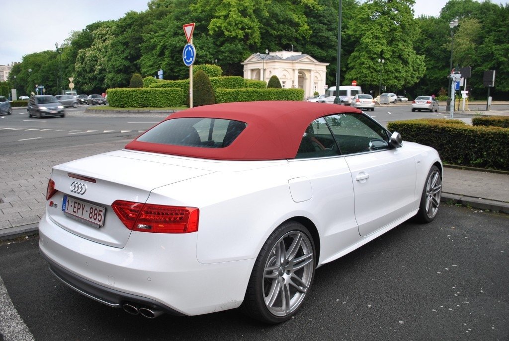 773840802S5.jpg