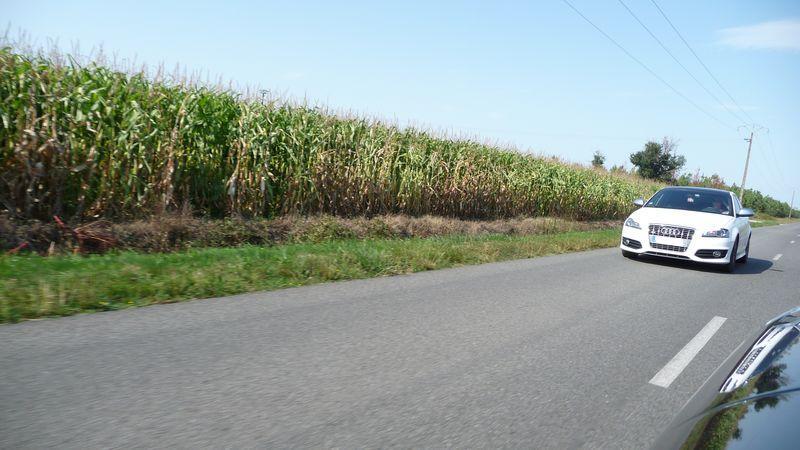 774468P10507711.jpg