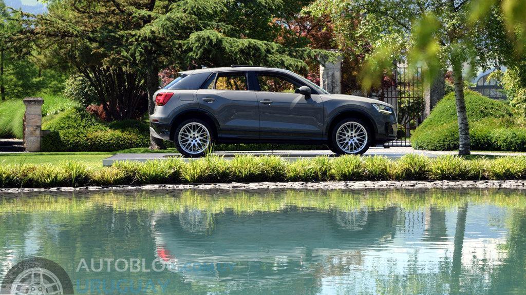 774888AUDIQ20303.jpg