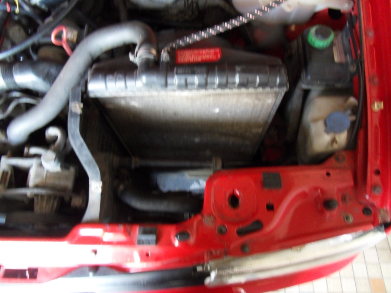 776323SDC11338.jpg