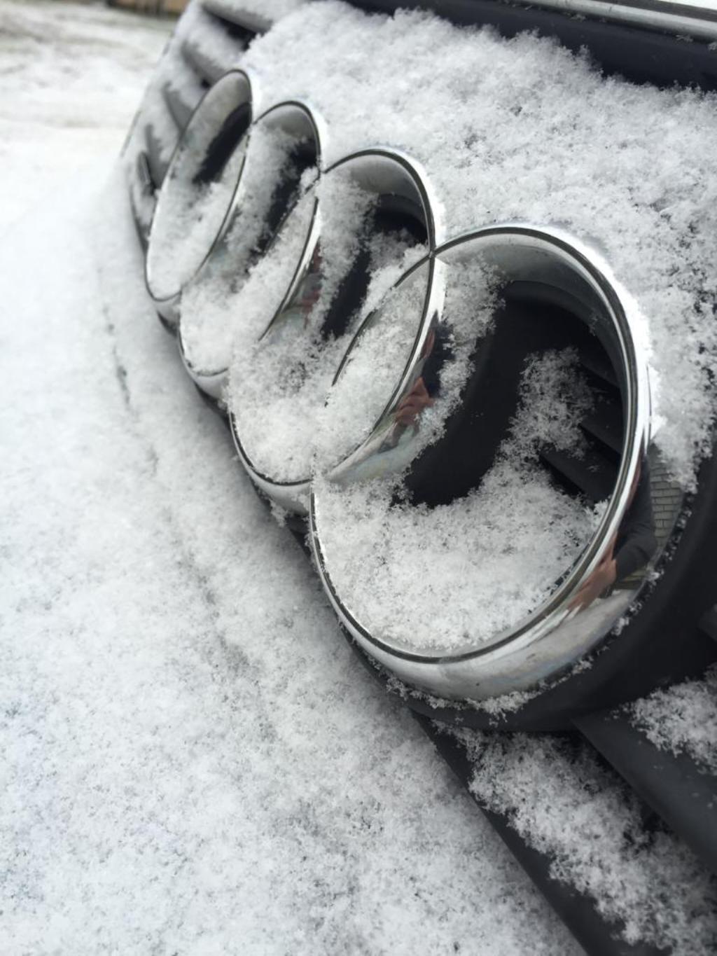 7778561115NEIGE.jpg