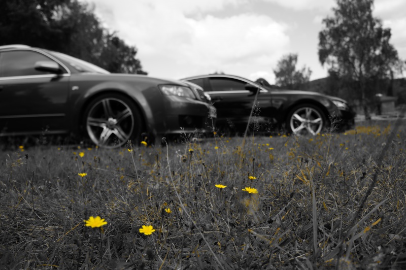 778474DSC00468.jpg
