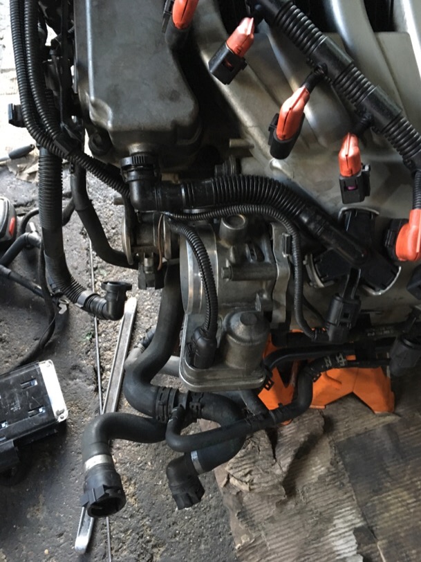 IMG_0111.JPG.4f1b59da9c52fa86bee24243097