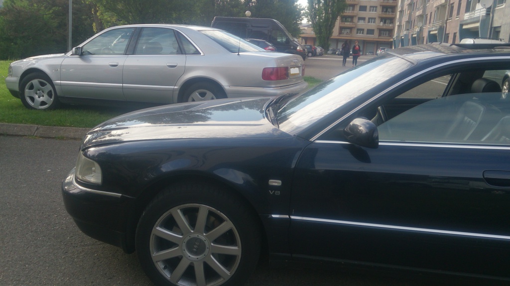 778543DSC0350.jpg