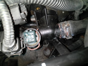 77f63d688430483.jpg