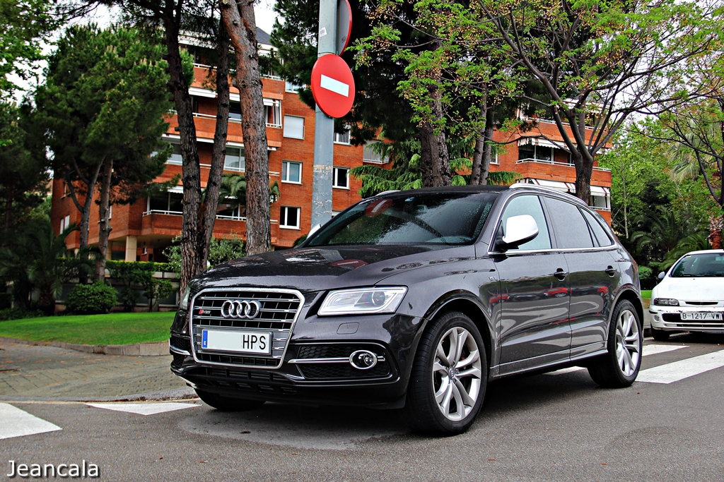 780068AUDISQ5525.jpg