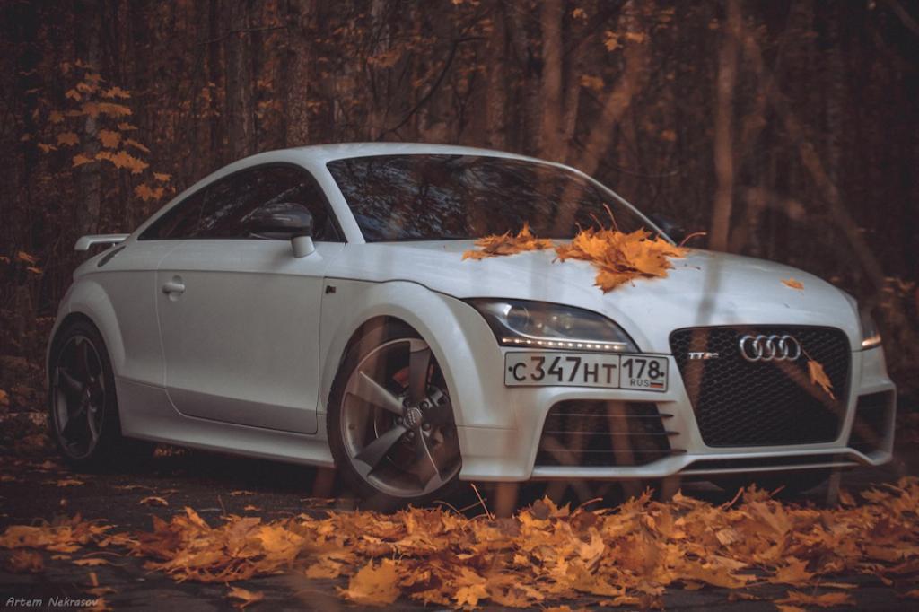 783551AUDITTRS2477.jpg