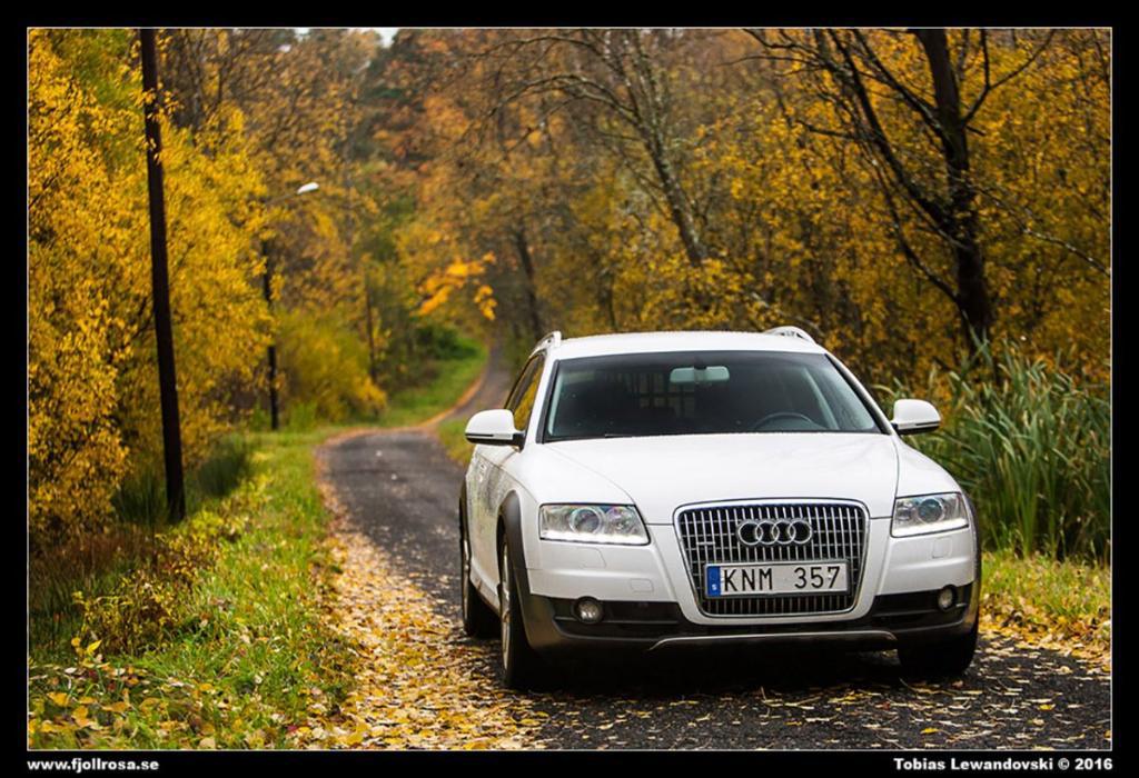 786517764AUDIA6C6ALLROAD.jpg