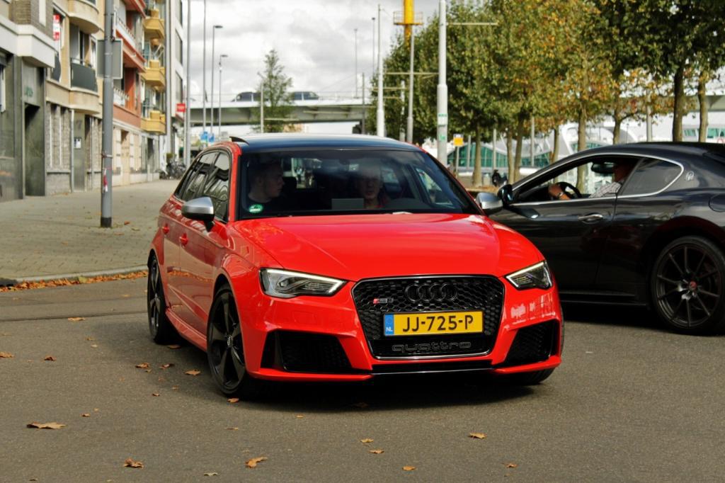 786601RS38V3211.jpg
