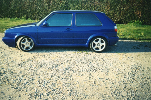 7871415526.jpg