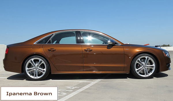 787155IpanemaBrown2.jpg