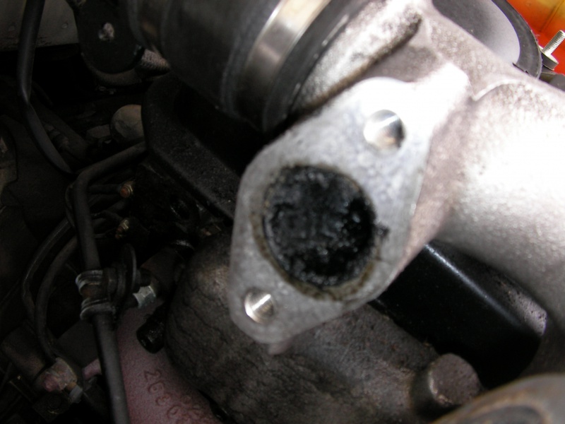 787704SANY0005.jpg