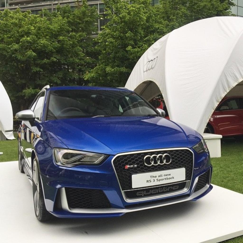 791644RS38V0256.jpg