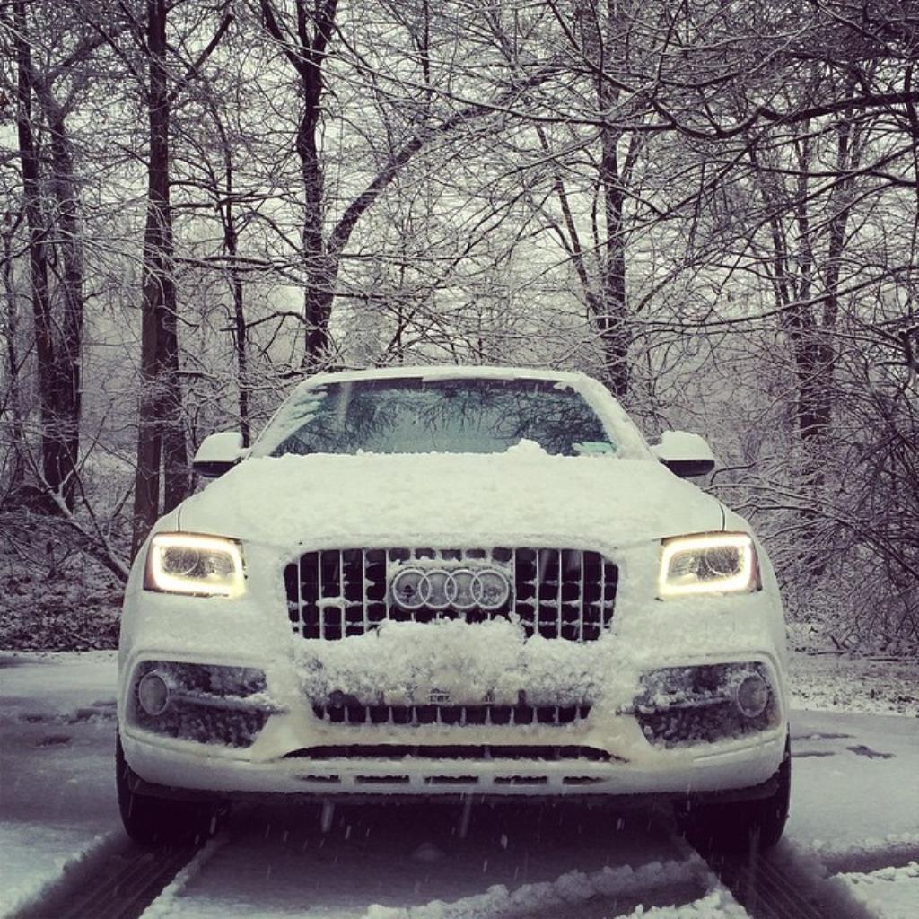 7925991059NEIGE.jpg