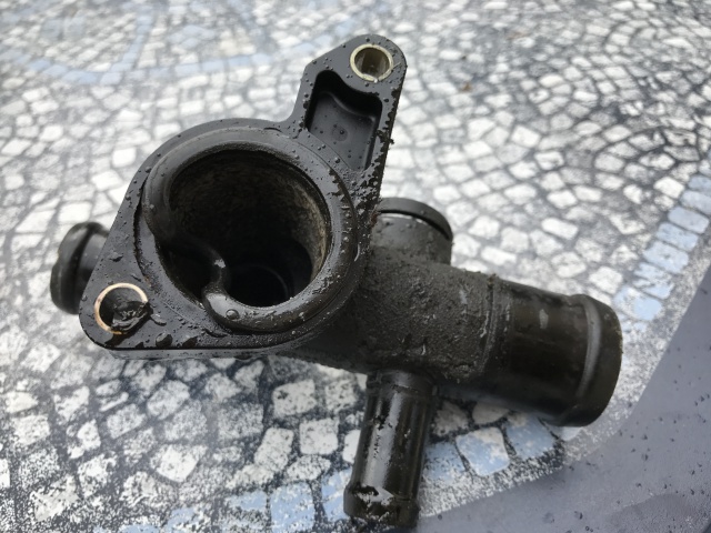 793247IMG0304.jpg