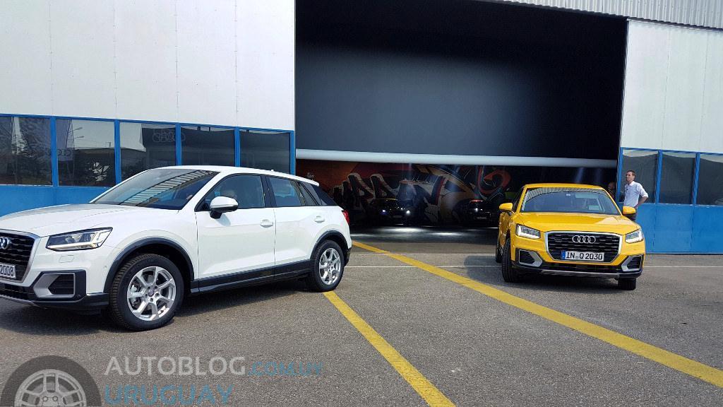 794882AUDIQ20311.jpg