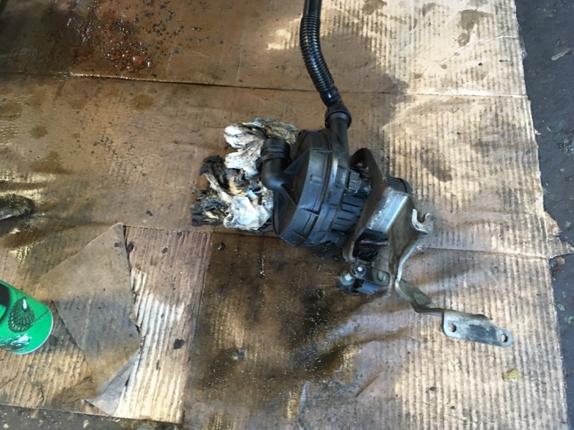 IMG_0098.JPG.81602bf8be6034393836dd9a33d