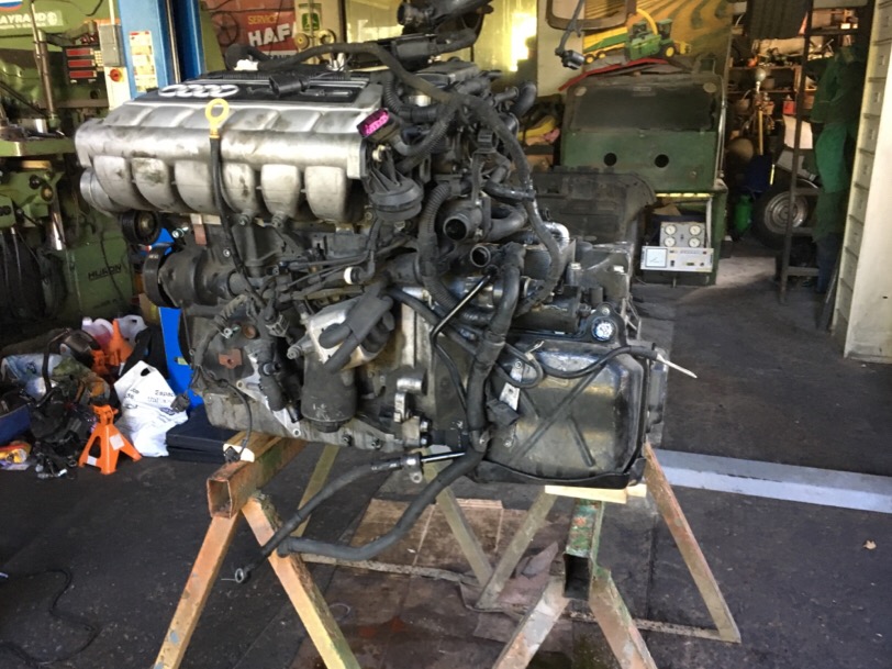 IMG_0105.JPG.cc31180ae9b9916312f1362aafe