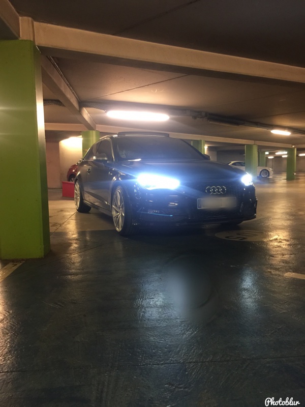 801295IMG3036.jpg